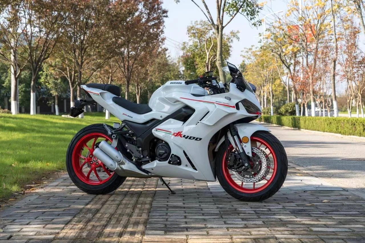 Ducati Panige - миниатюра 3