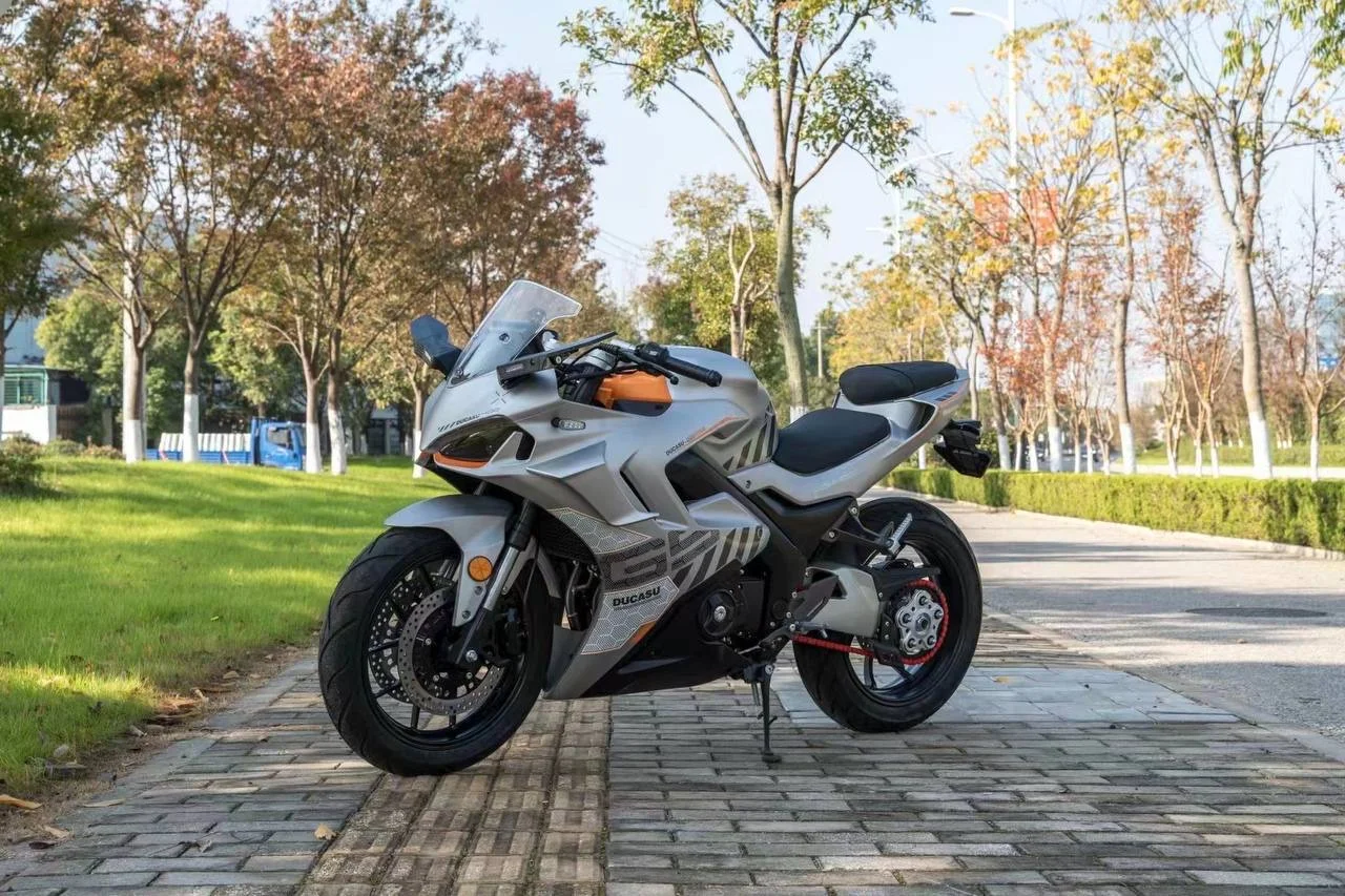 Ducati Panige - миниатюра 5