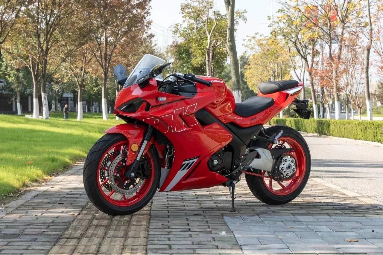 Ducati Panige - миниатюра 6