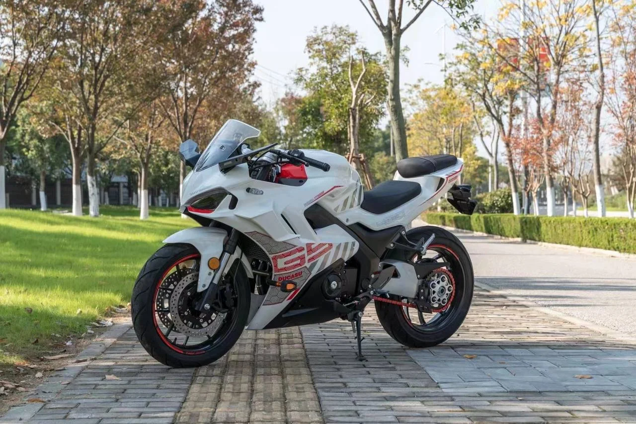 Ducati Panige - миниатюра 7