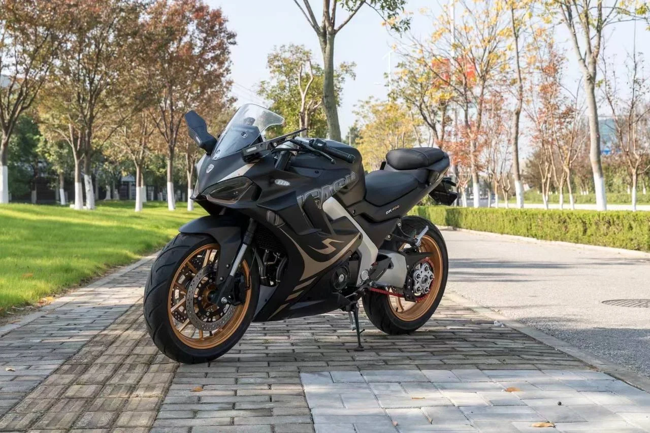 Ducati Panige - миниатюра 10