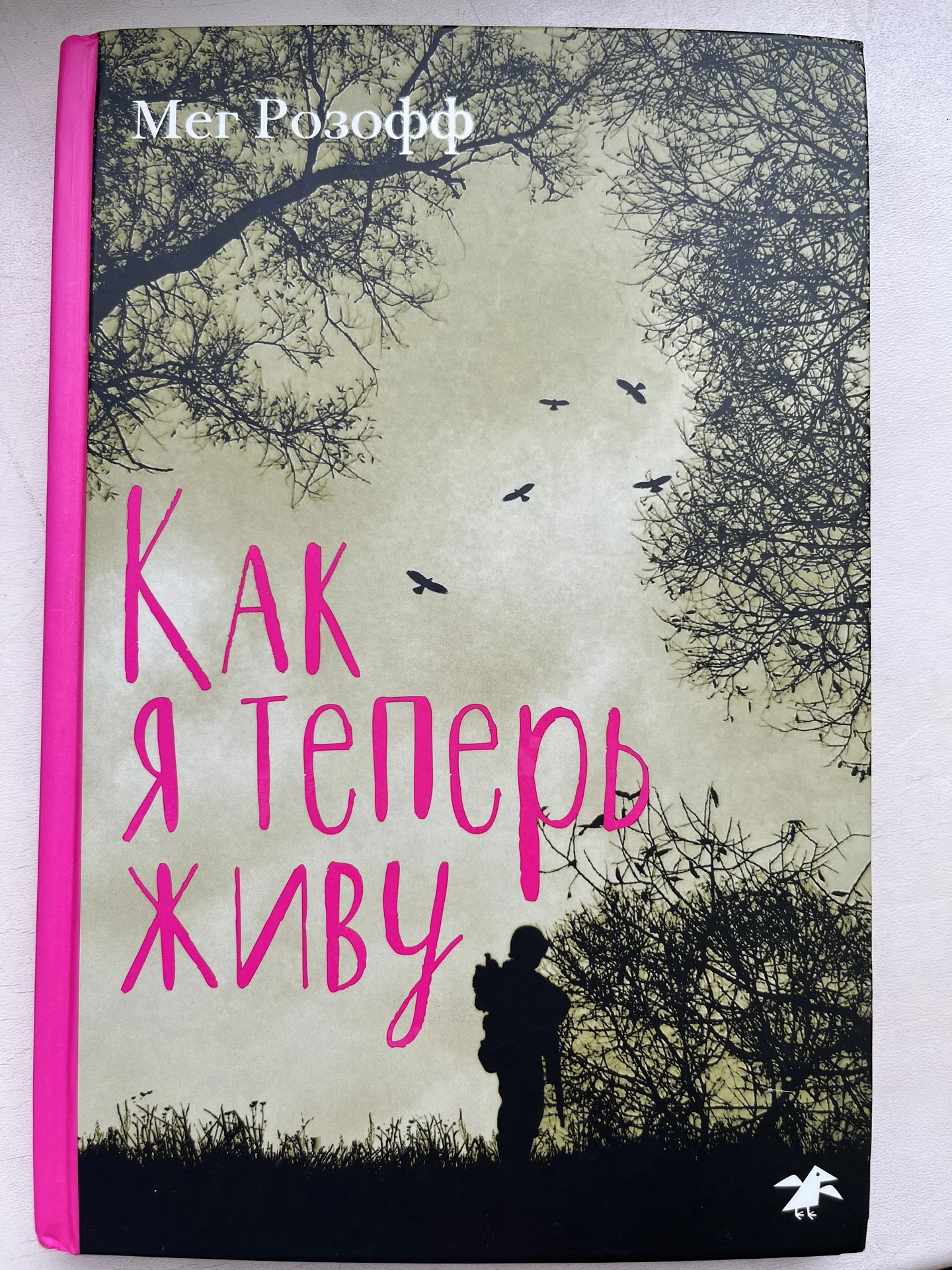 Как теперь я живу - изображение 1