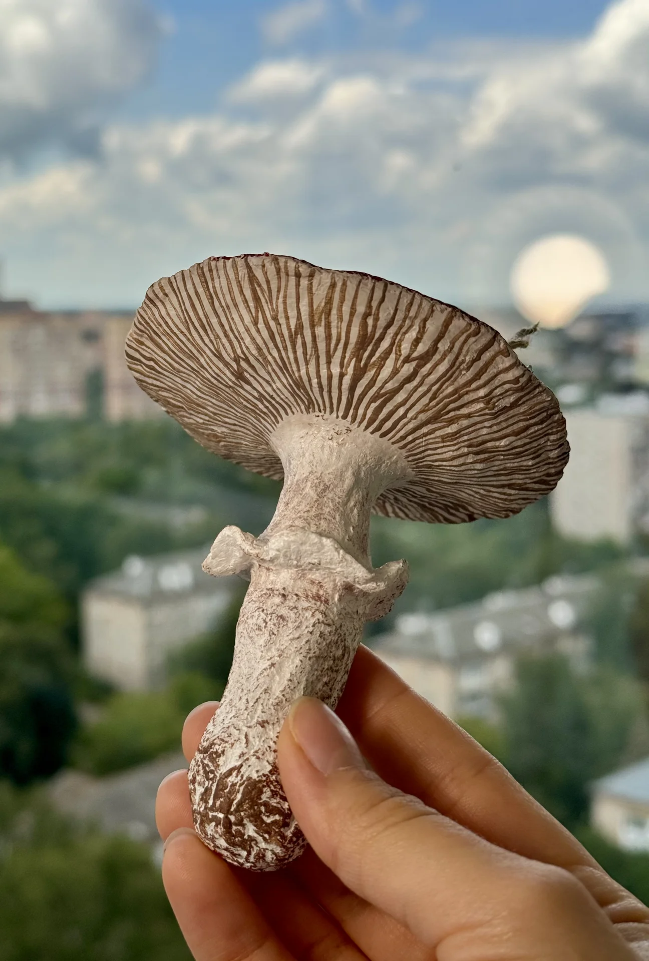 Елочные игрушки мухоморы из папье-маше - миниатюра 7