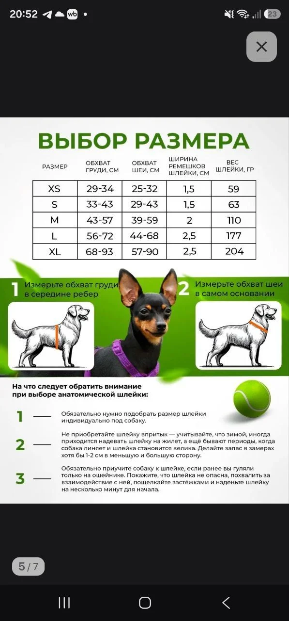Шлейка для собак Loyal pet S - миниатюра 2