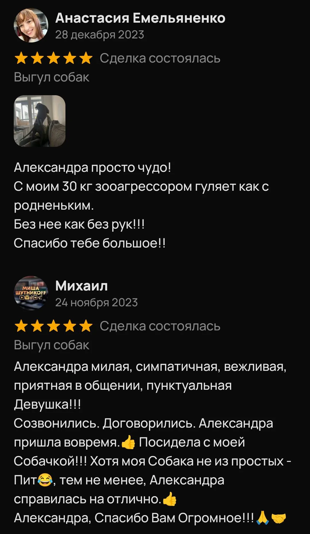 Выгул собак/Передержка - миниатюра 8