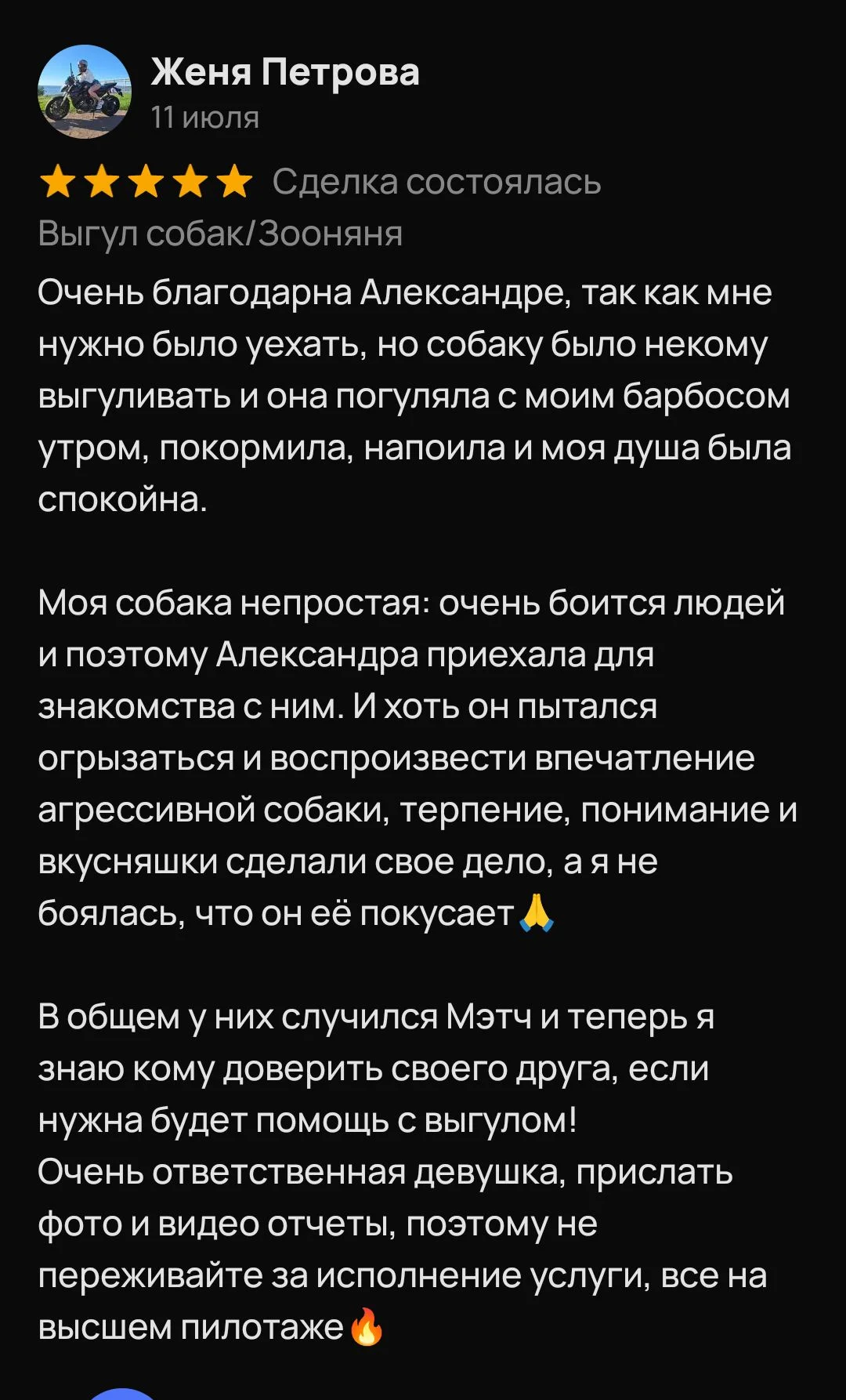 Выгул собак/Передержка - миниатюра 10