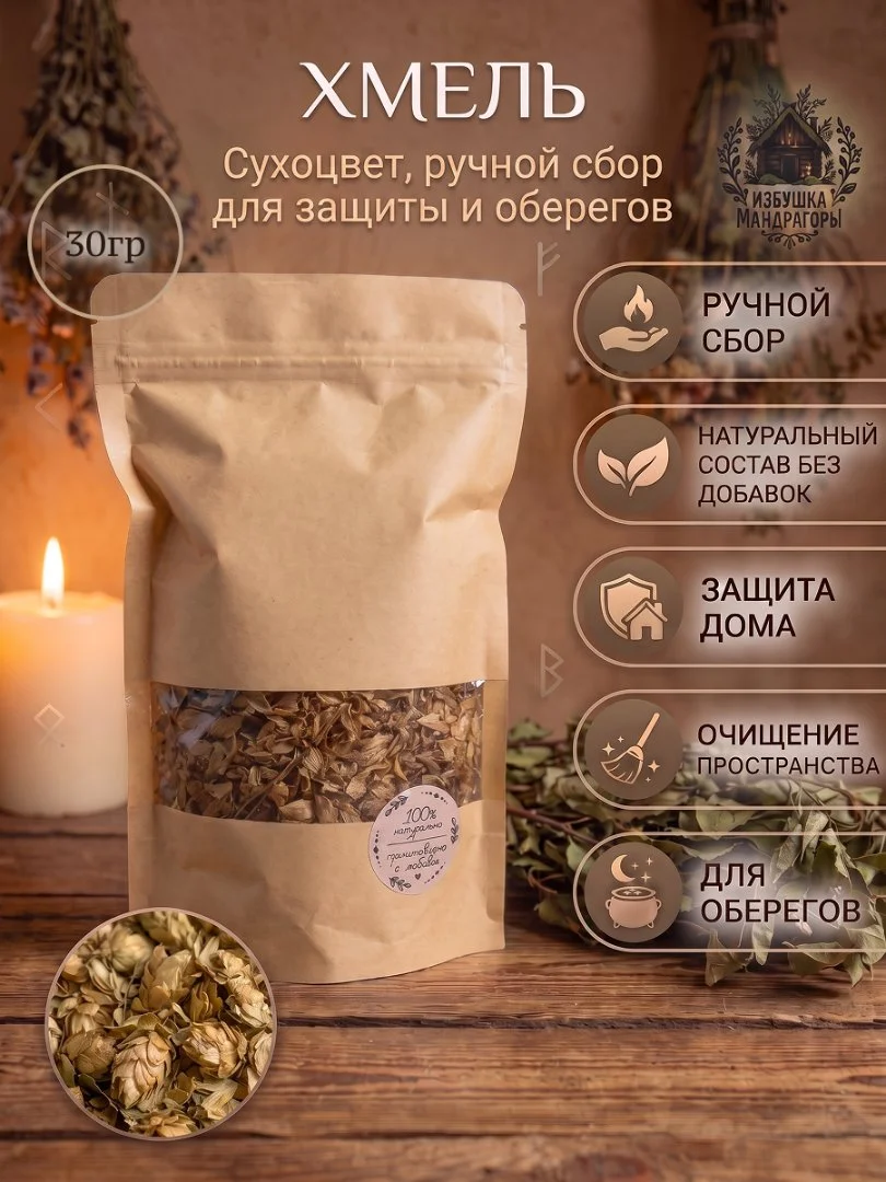Сушеный хмель для обрядов и ритуалов - изображение 1