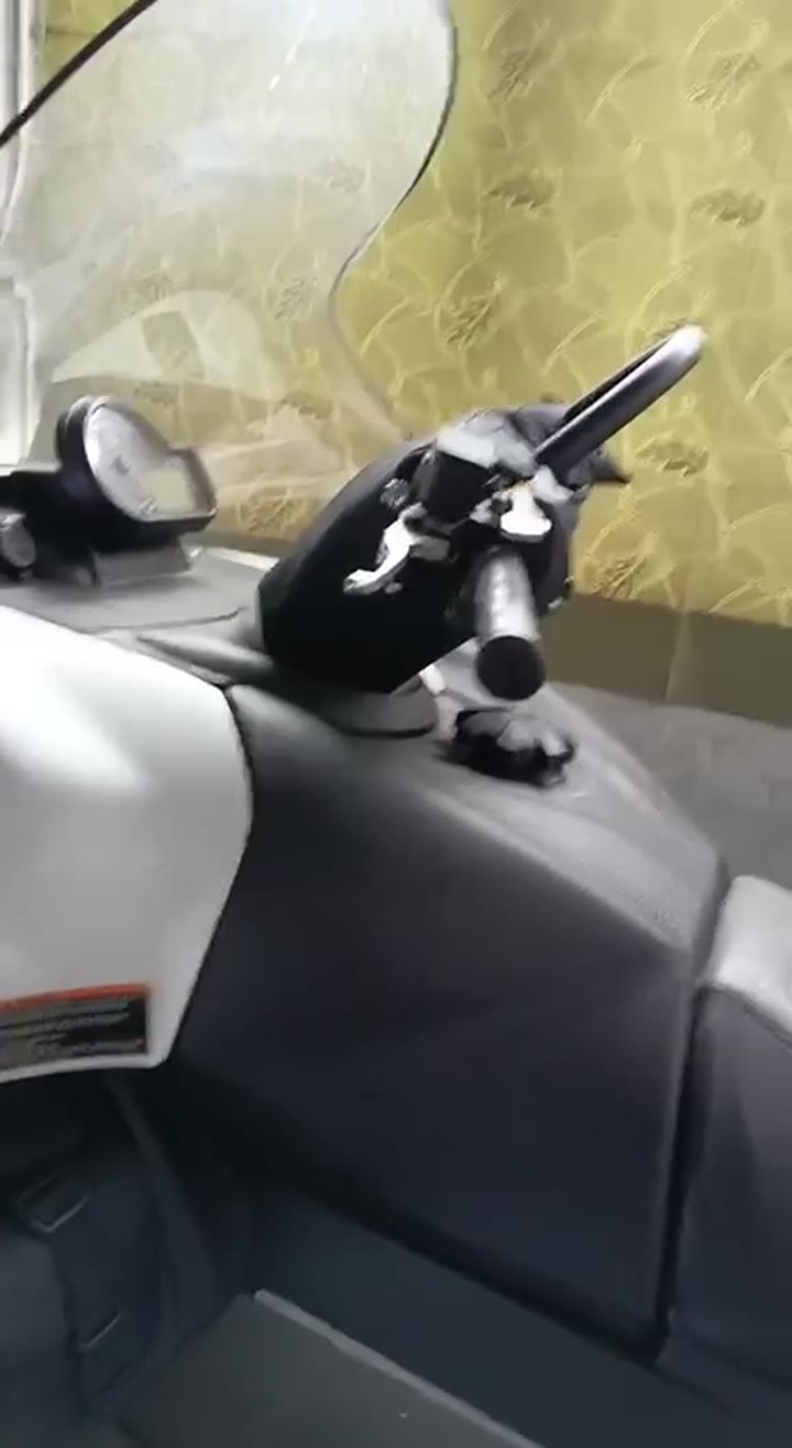 Yamaha Rs Viking Professional - видео 6