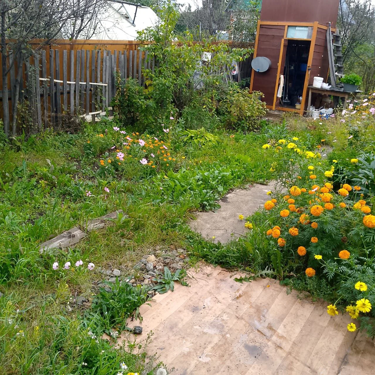 участок с домом в СНТ "Лесное" п. Саргазы - миниатюра 2