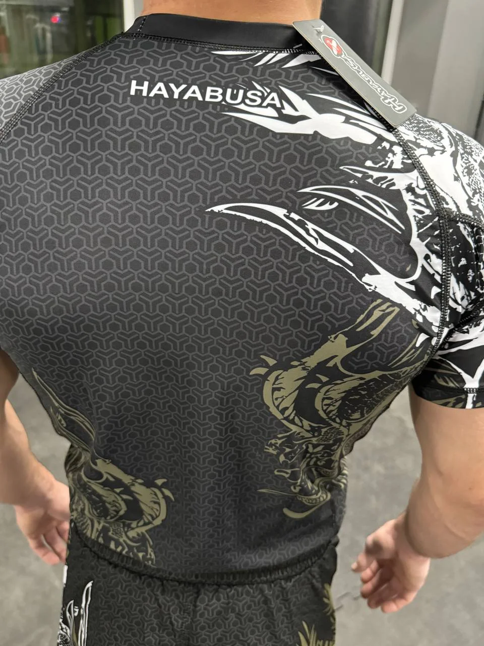 Форма Hayabusa - миниатюра 4