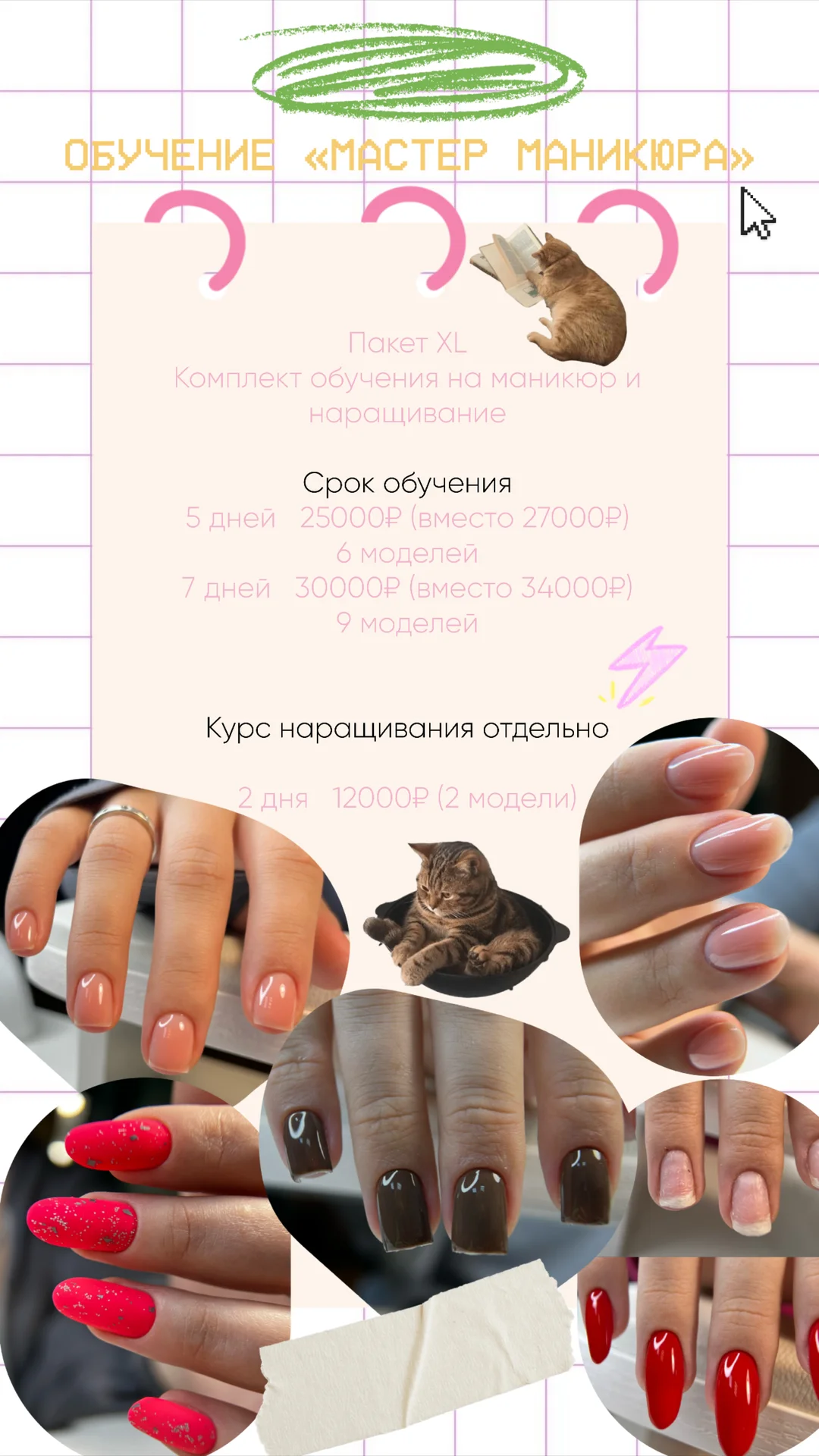 Обучение курсы мастер маникюра индивидуальные - миниатюра 4