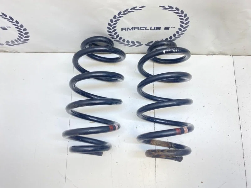 Пружины задние Nissan Qashqai 1 (J10) 2007 - миниатюра 10