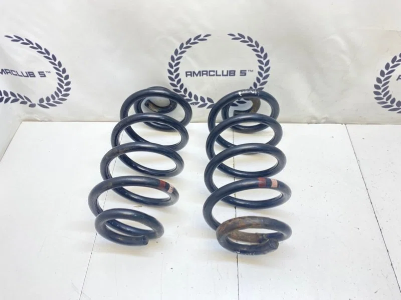 Пружины задние Nissan Qashqai 1 (J10) 2007 - миниатюра 6
