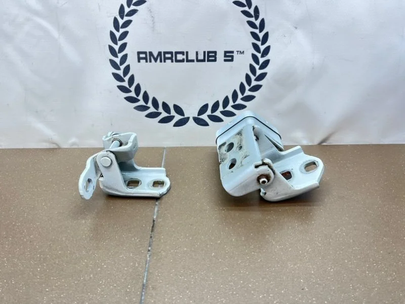Петли передней правой двери Renault Megane 2 - миниатюра 6
