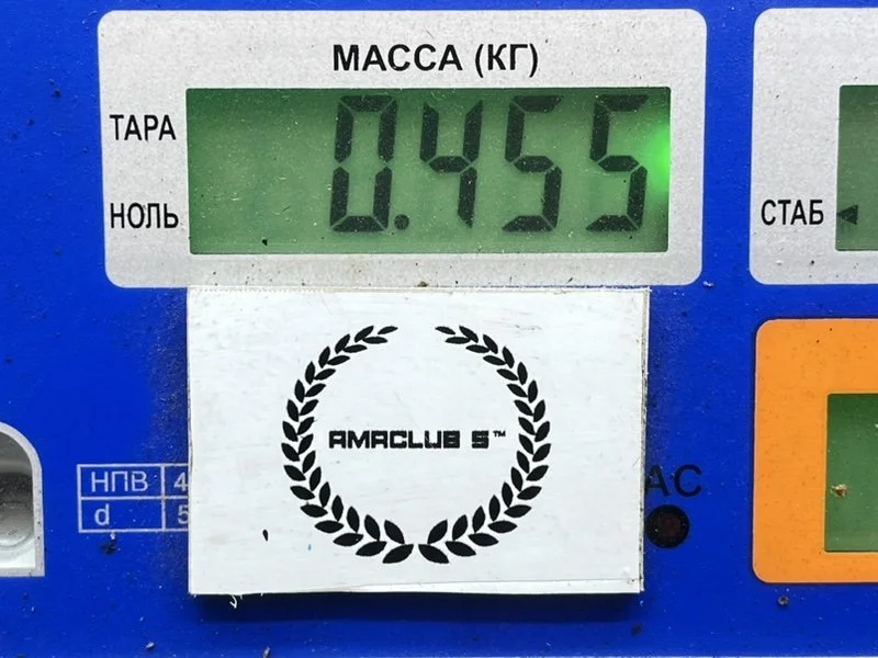 Накладка заднего бампера Toyota Land Cruiser Prado - миниатюра 10