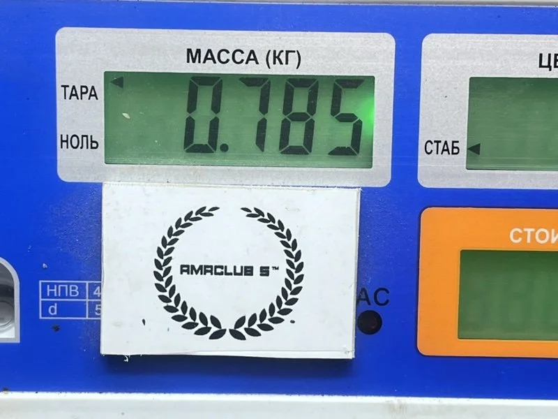 Жабо BMW 3-Series (E46) 2001 - миниатюра 10