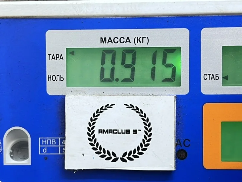 Спойлер Great Wall Safe 1 (G5) 2009 - миниатюра 10