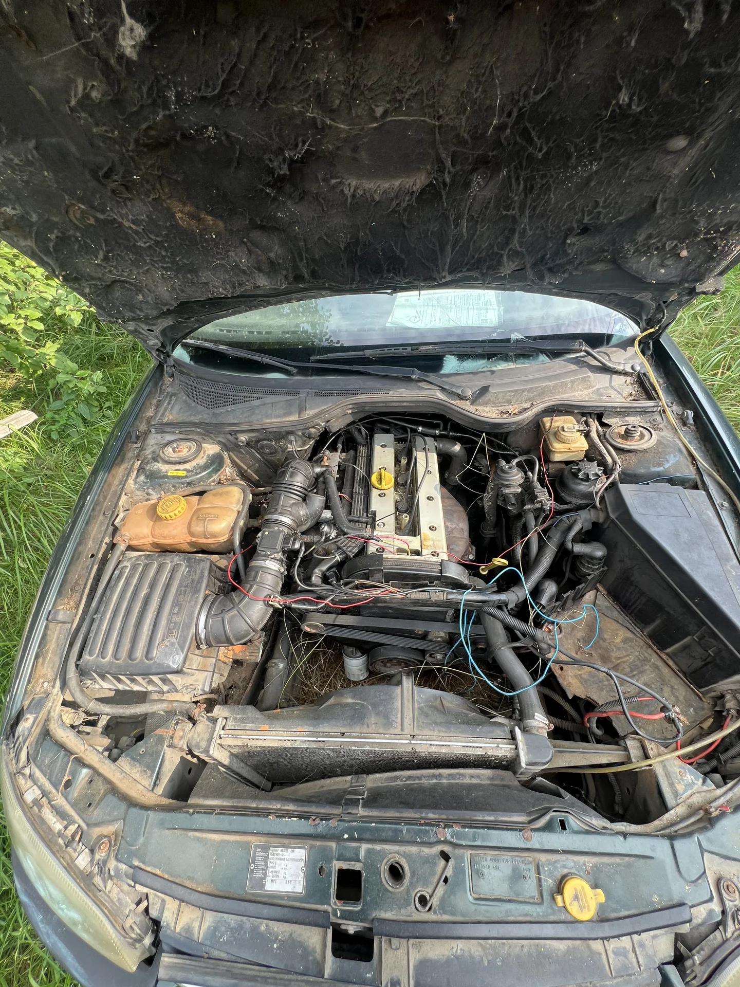 opel omega b - миниатюра 5