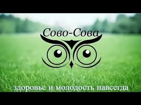 Компания Сово-Сова - изображение 1