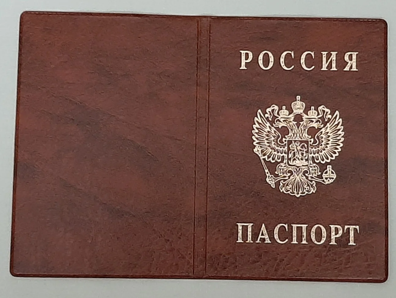 Обложка паспорта - изображение 1
