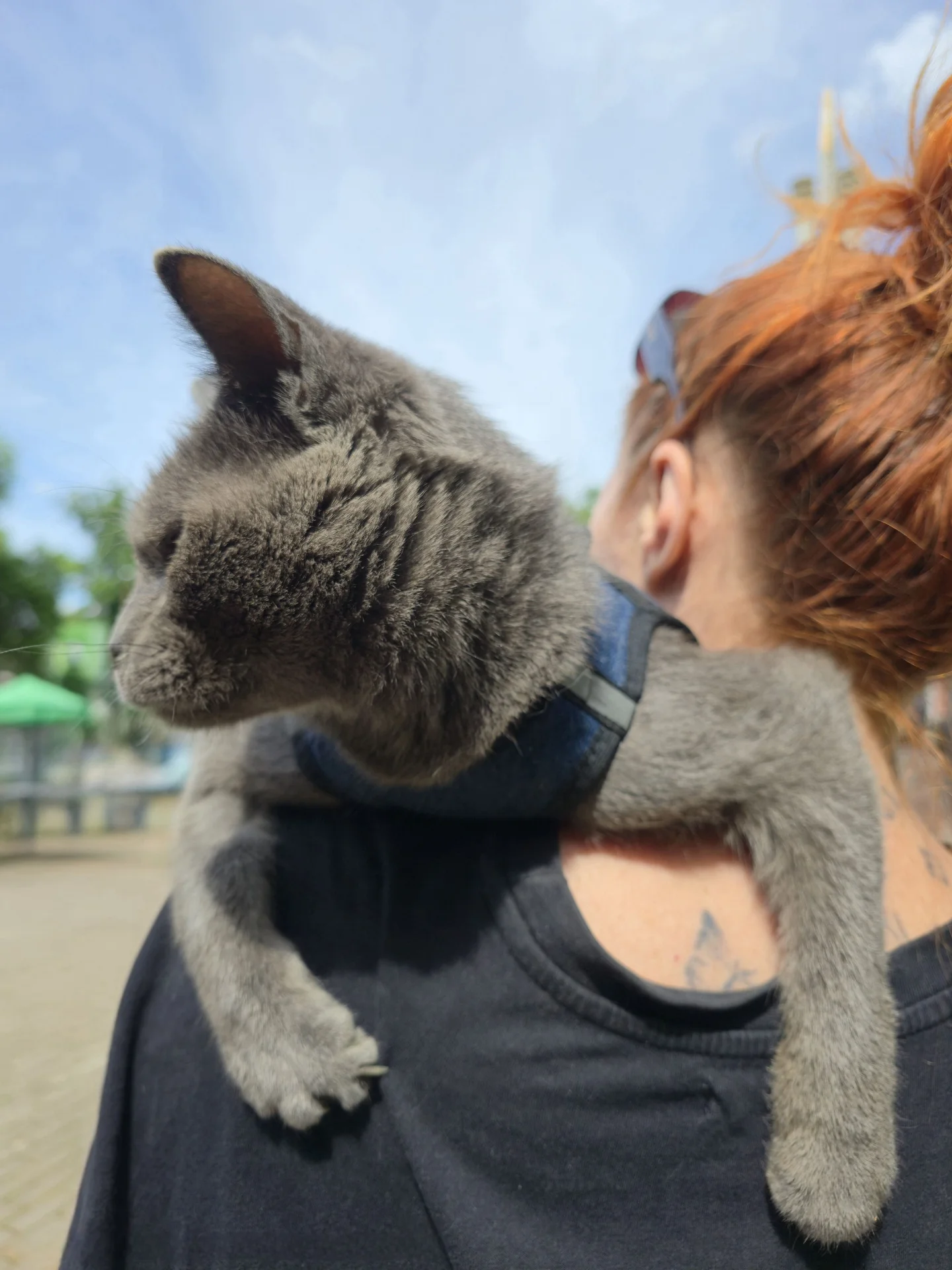 Котик ищет любящего человека💗 - миниатюра 6