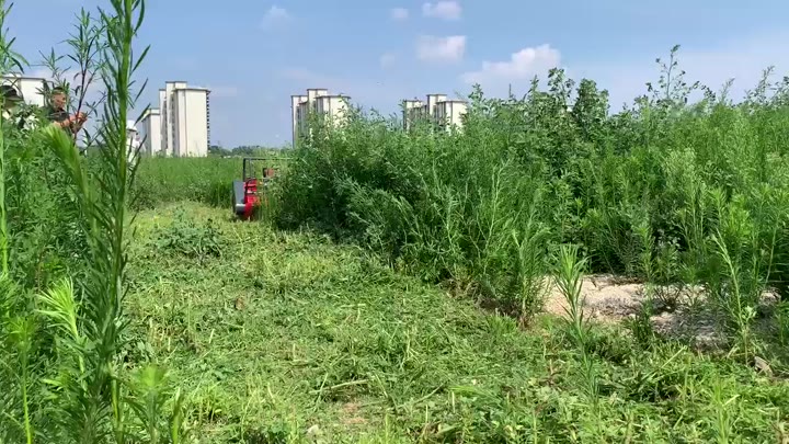Покос, мульчирование, культивирование земли - видео 10
