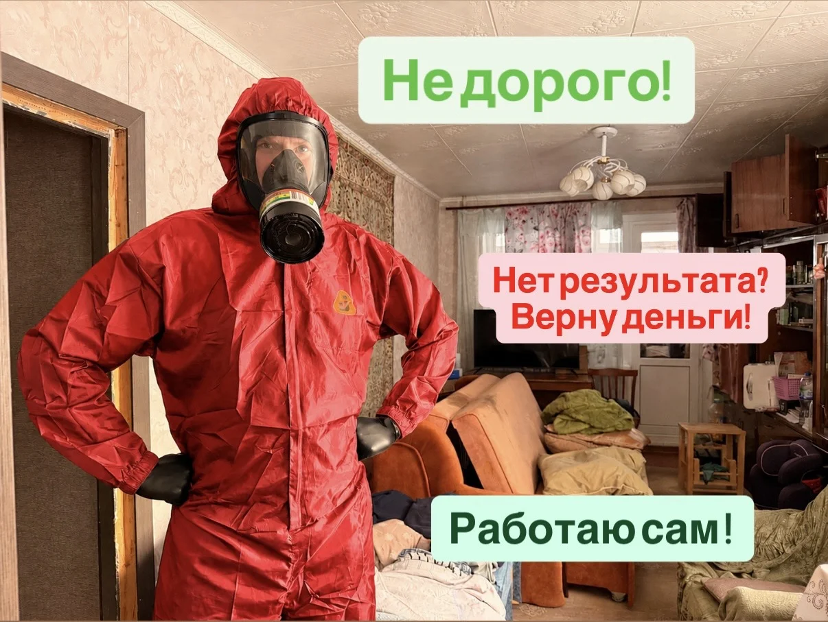 Уничтожение тараканов потравить клопов дезинфекция - изображение 1