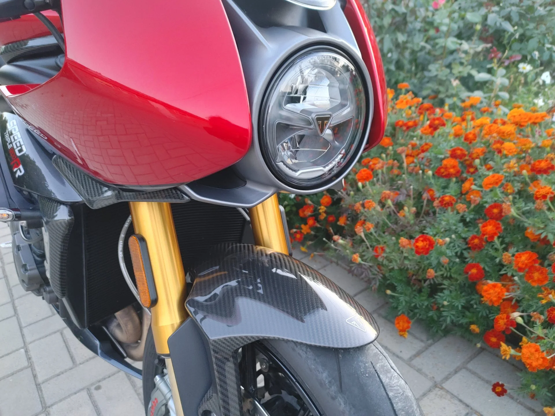 Triumph Speed Triple 1200 RR - миниатюра 11