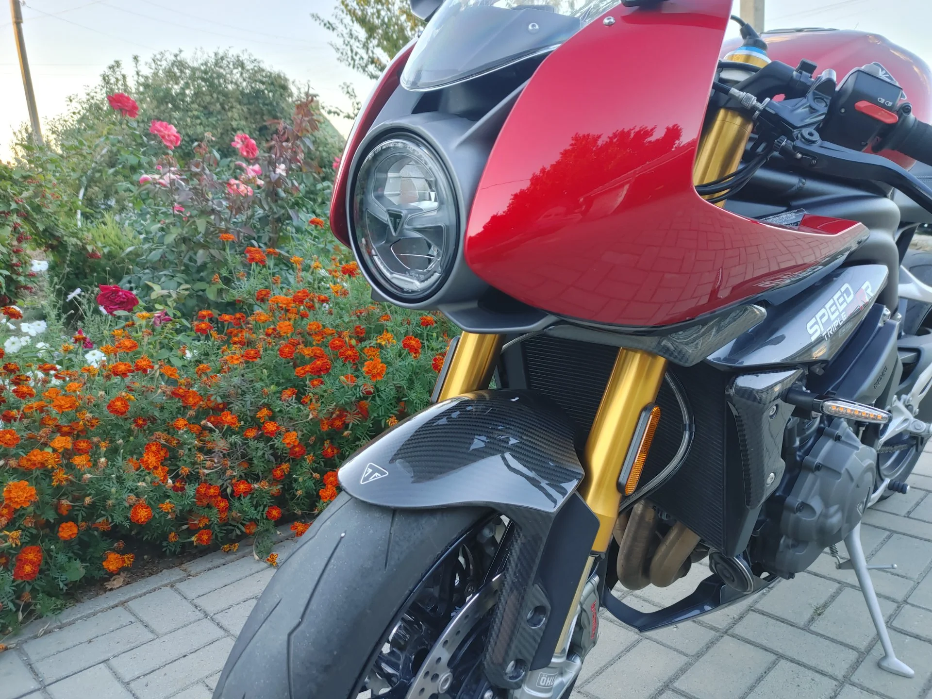 Triumph Speed Triple 1200 RR - миниатюра 17