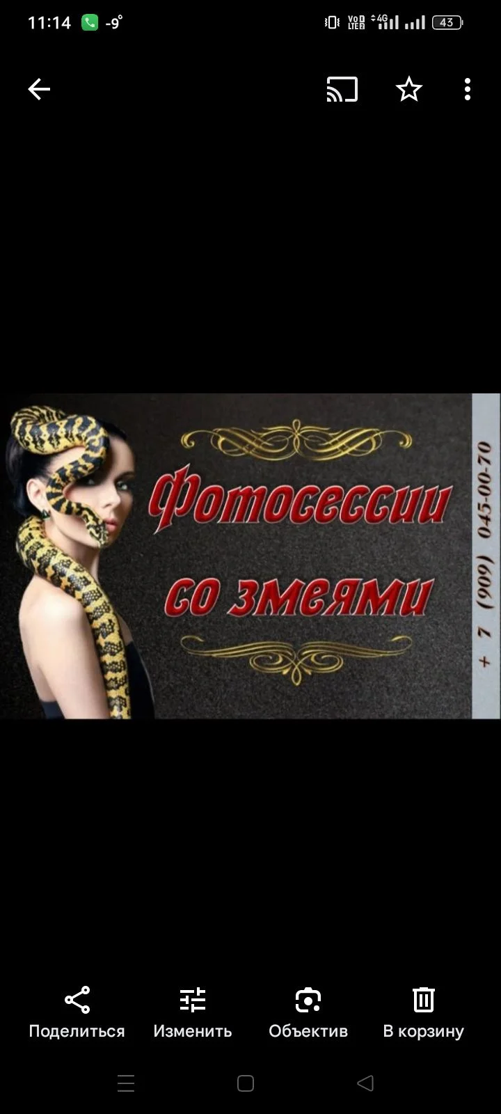 фотосессия со змеями - миниатюра 7