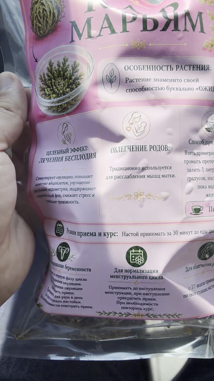 Растение РУКА МАРИИ