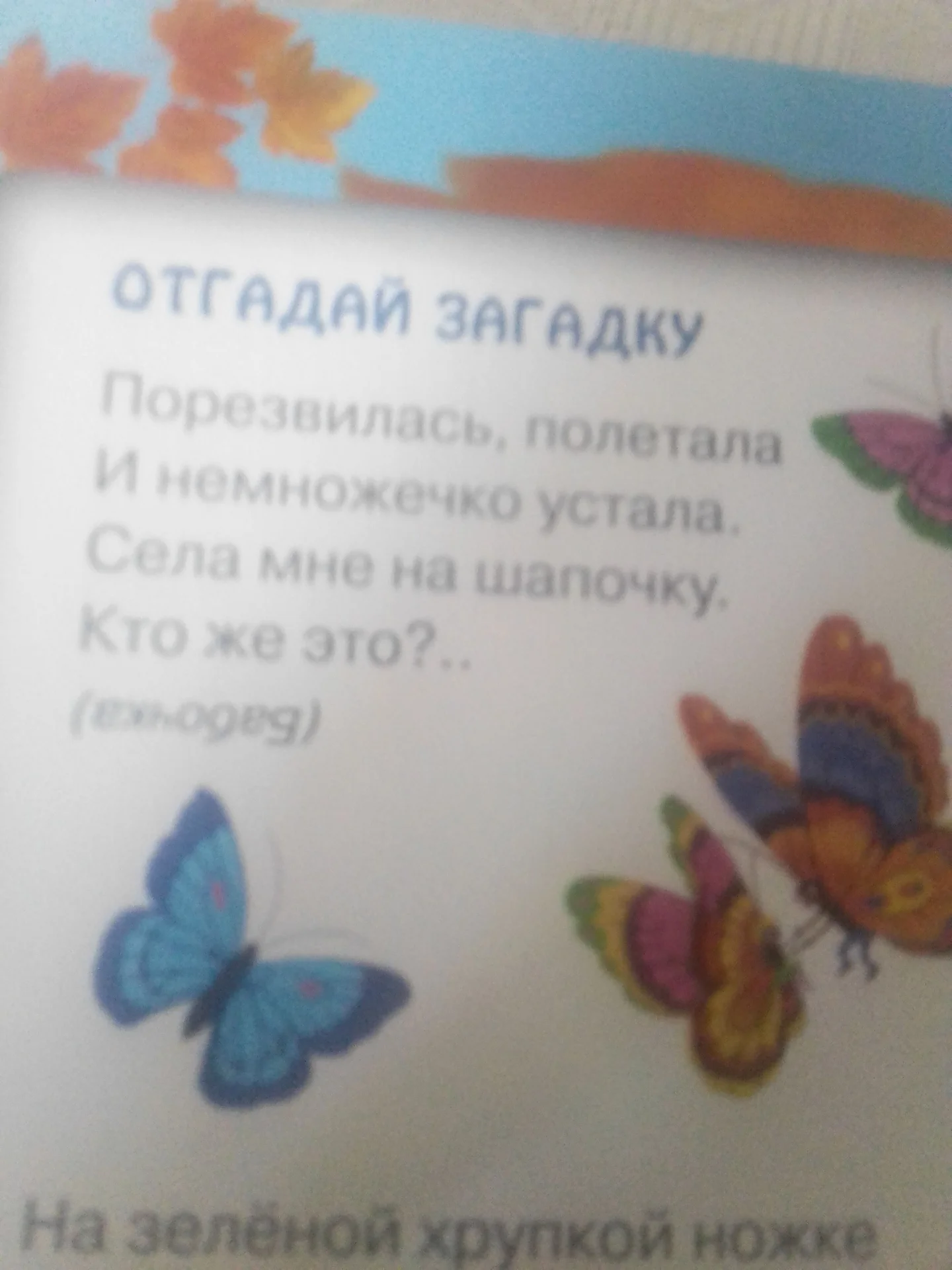 времена года - миниатюра 4