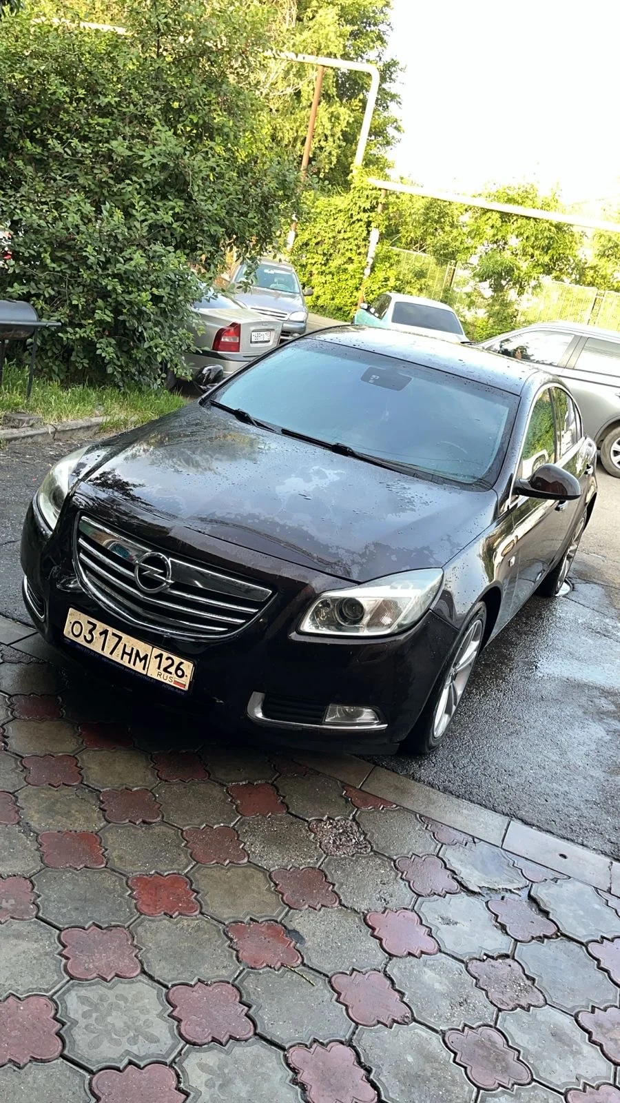opel insignia - миниатюра 2