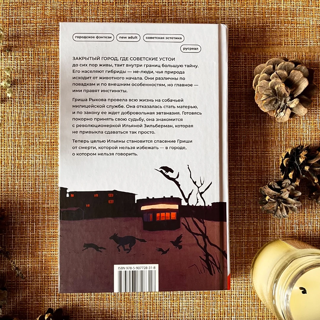Подростковые и young-adult книги - миниатюра 24