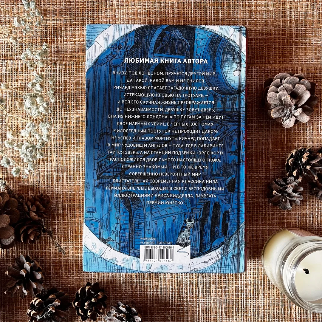 Подростковые и young-adult книги - миниатюра 30
