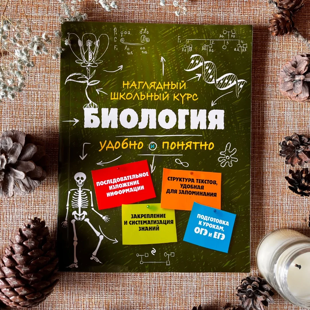 Сборники теории для подготовки к ОГЭ и ЕГЭ - миниатюра 5