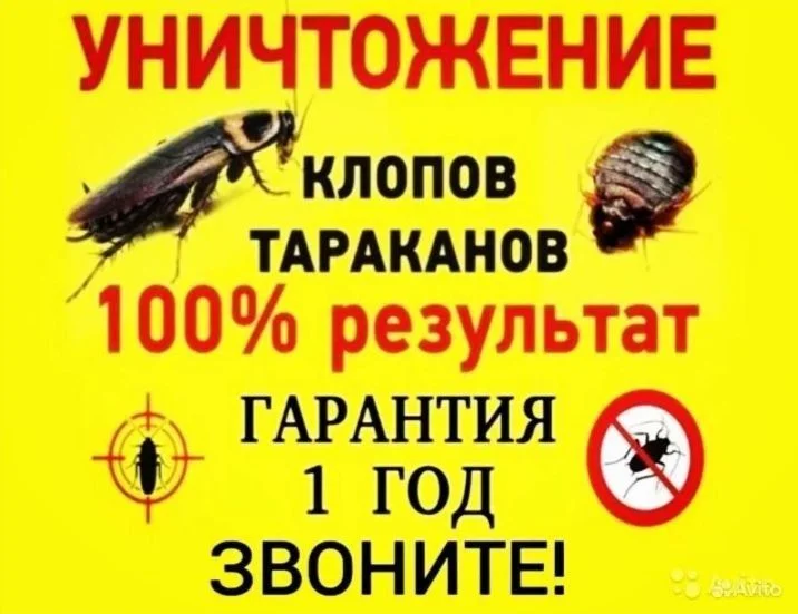 Уничтожение тараканов клопов, мышей,клещей - миниатюра 2