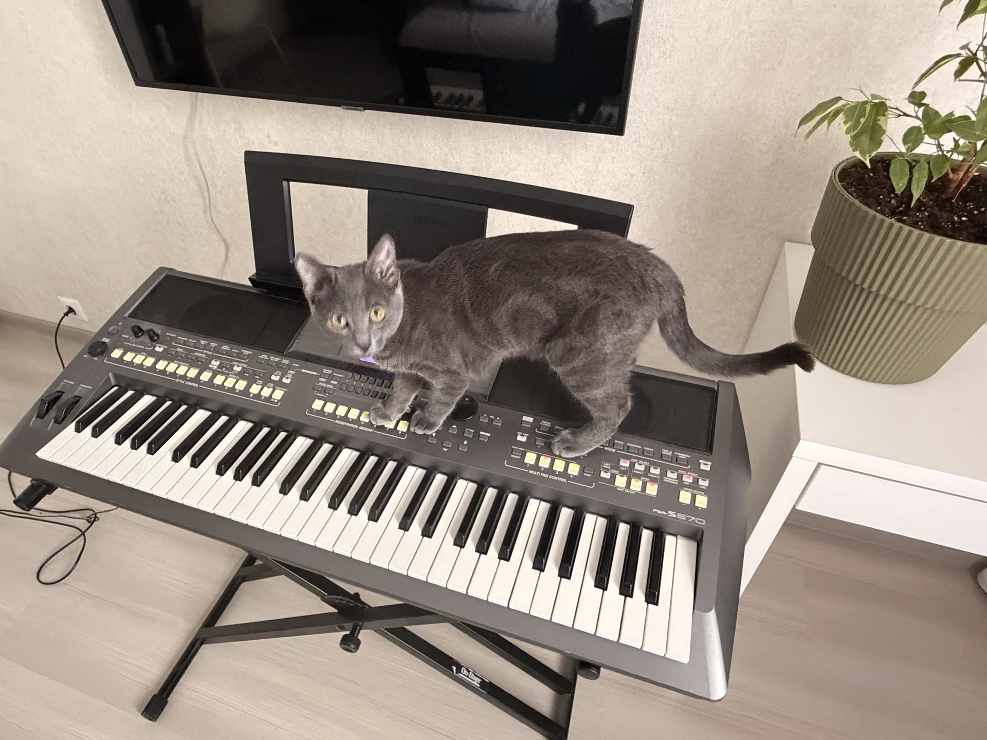 Синтезатор Yamaha psr s670 - изображение 1