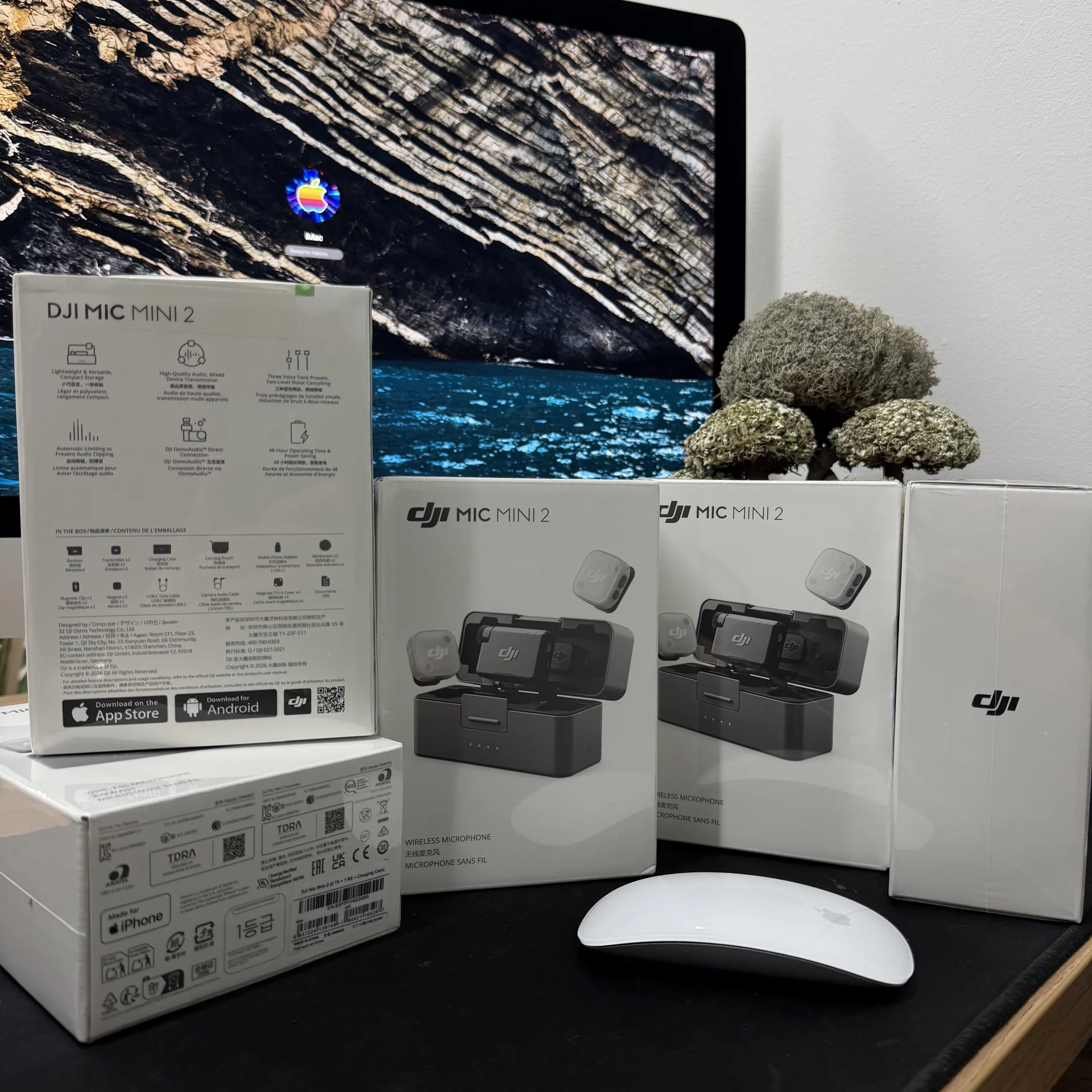 DJI Mic Mini (2TX + 1RX + Charging Case)+Накладки - миниатюра 3