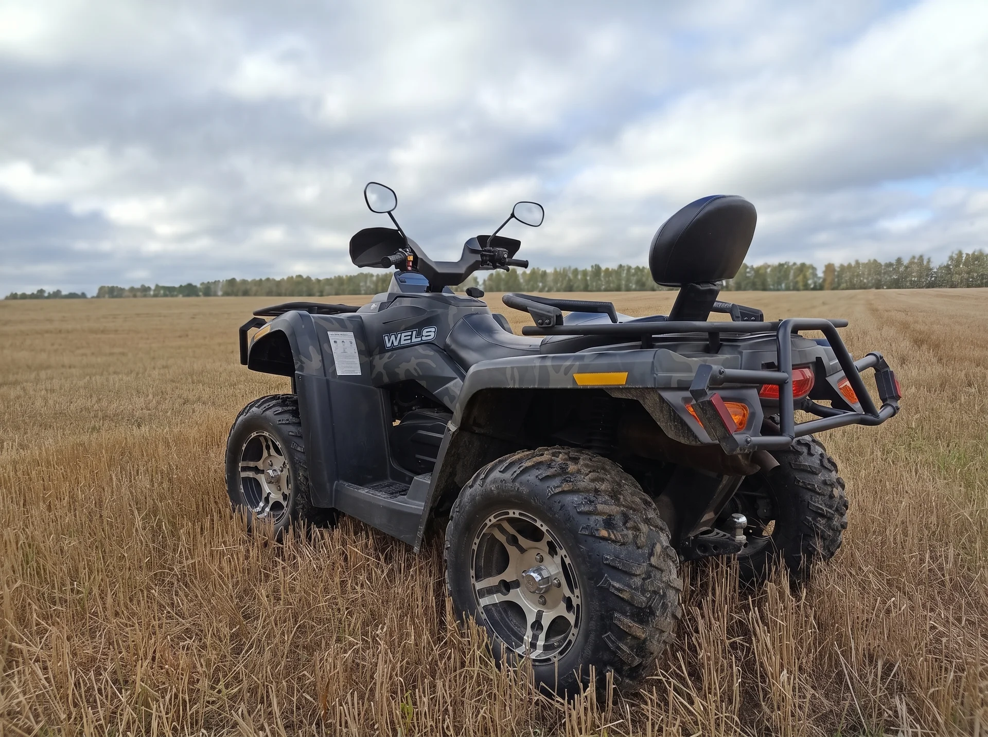 WELS ATV 800 EFI - миниатюра 7