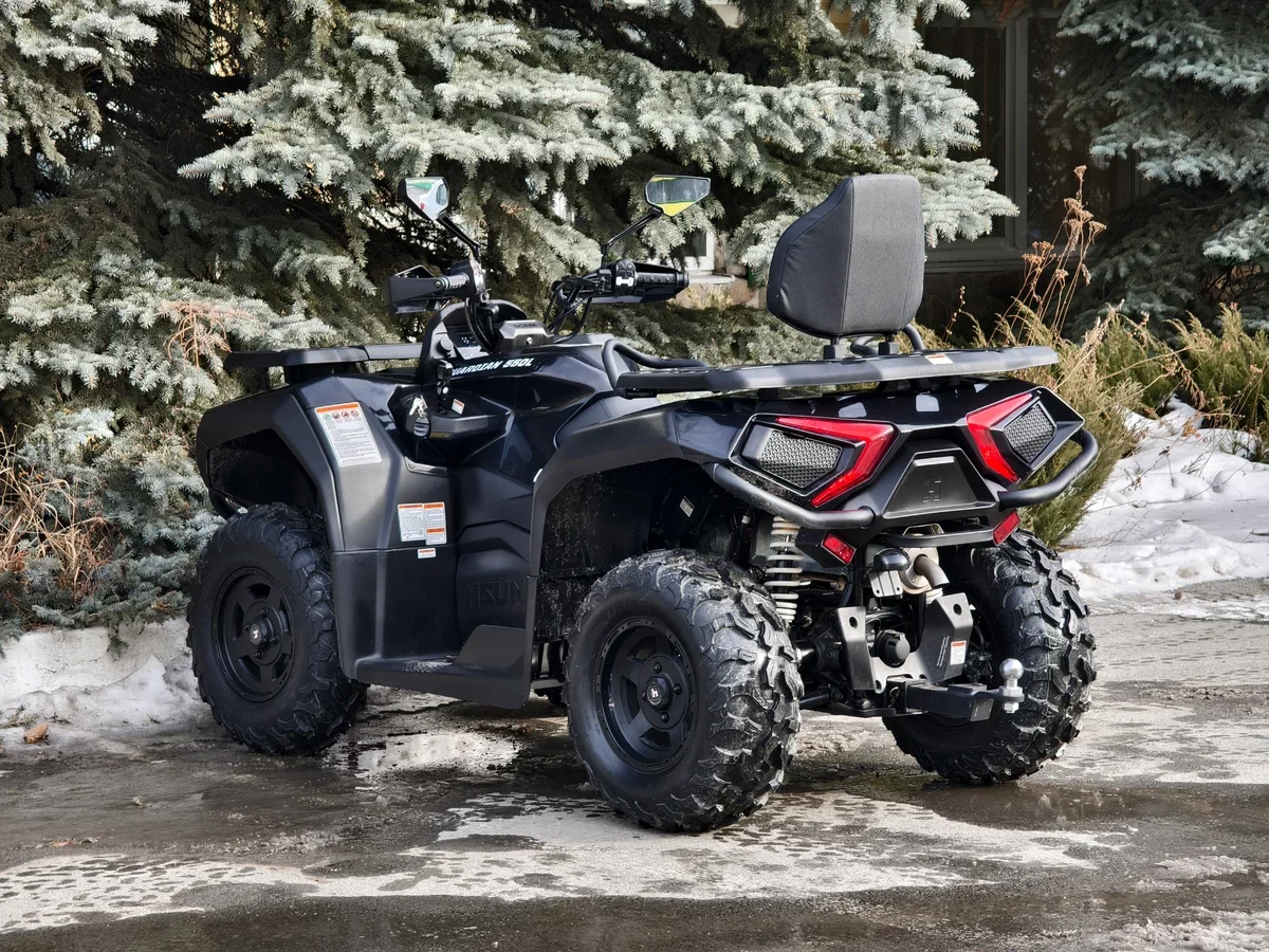 HISUN GUARDIAN 550L - миниатюра 4