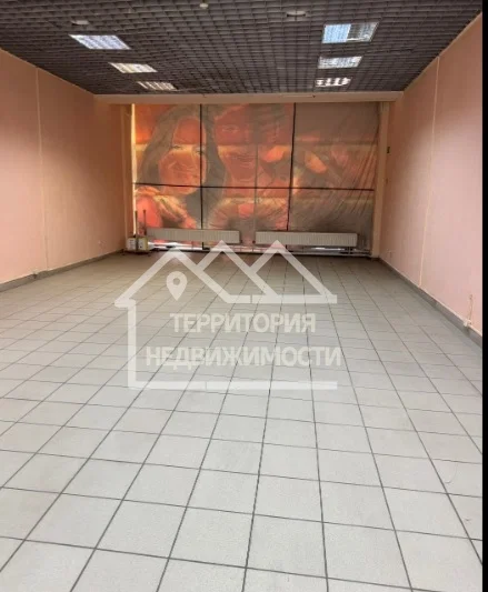 Помещение свободного назначения 70,8м2 ул.50лет ВЛКСМ, ТРЦ Премьер - миниатюра 4