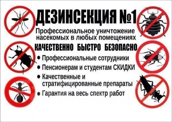 Дезинсекция, Дезинфекция, Дератизация помещений - изображение 1
