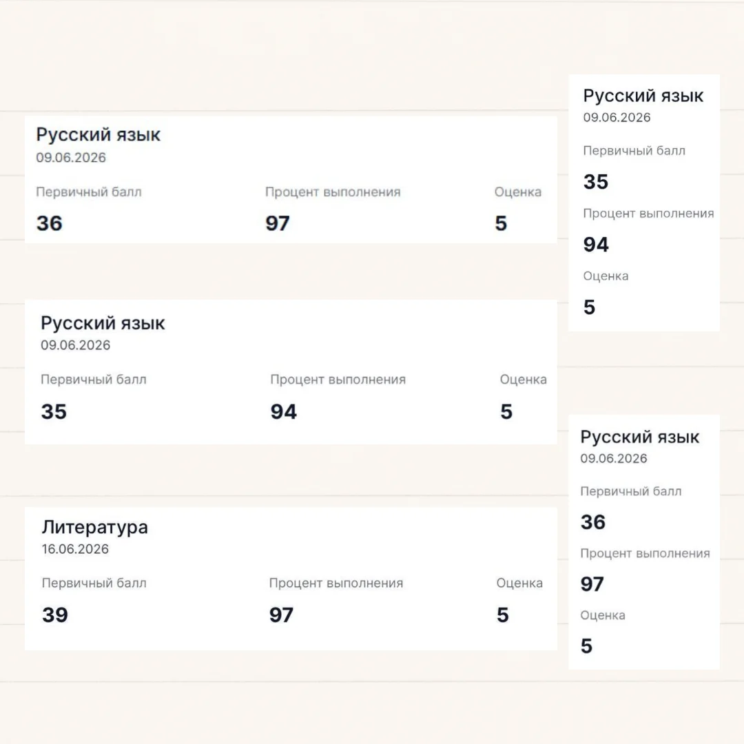 Репетитор по русскому языку и литературе ОГЭ - миниатюра 4