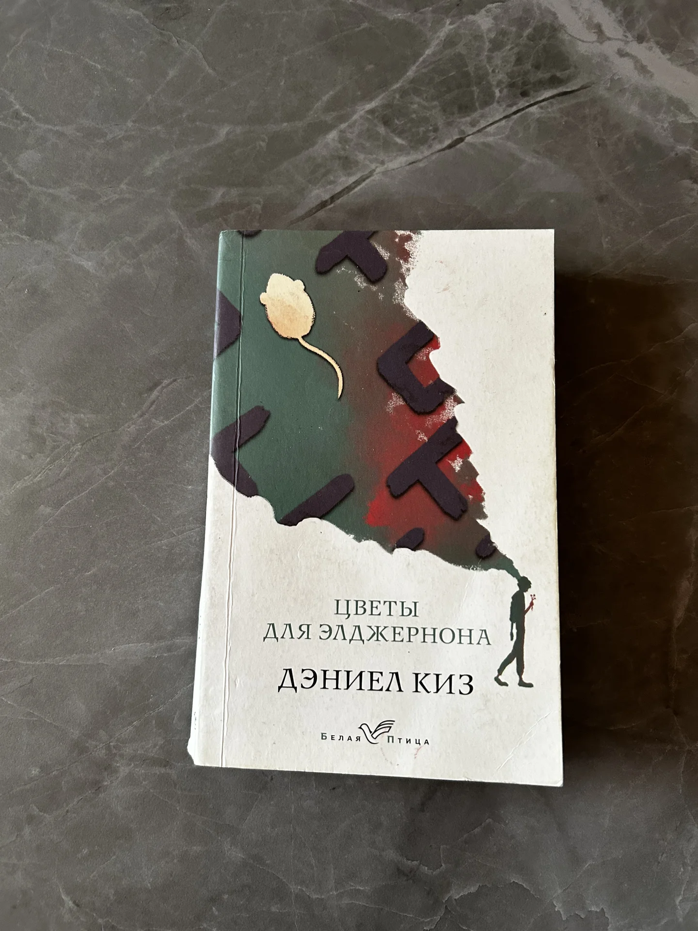 Книга цветы для элджернона - изображение 1