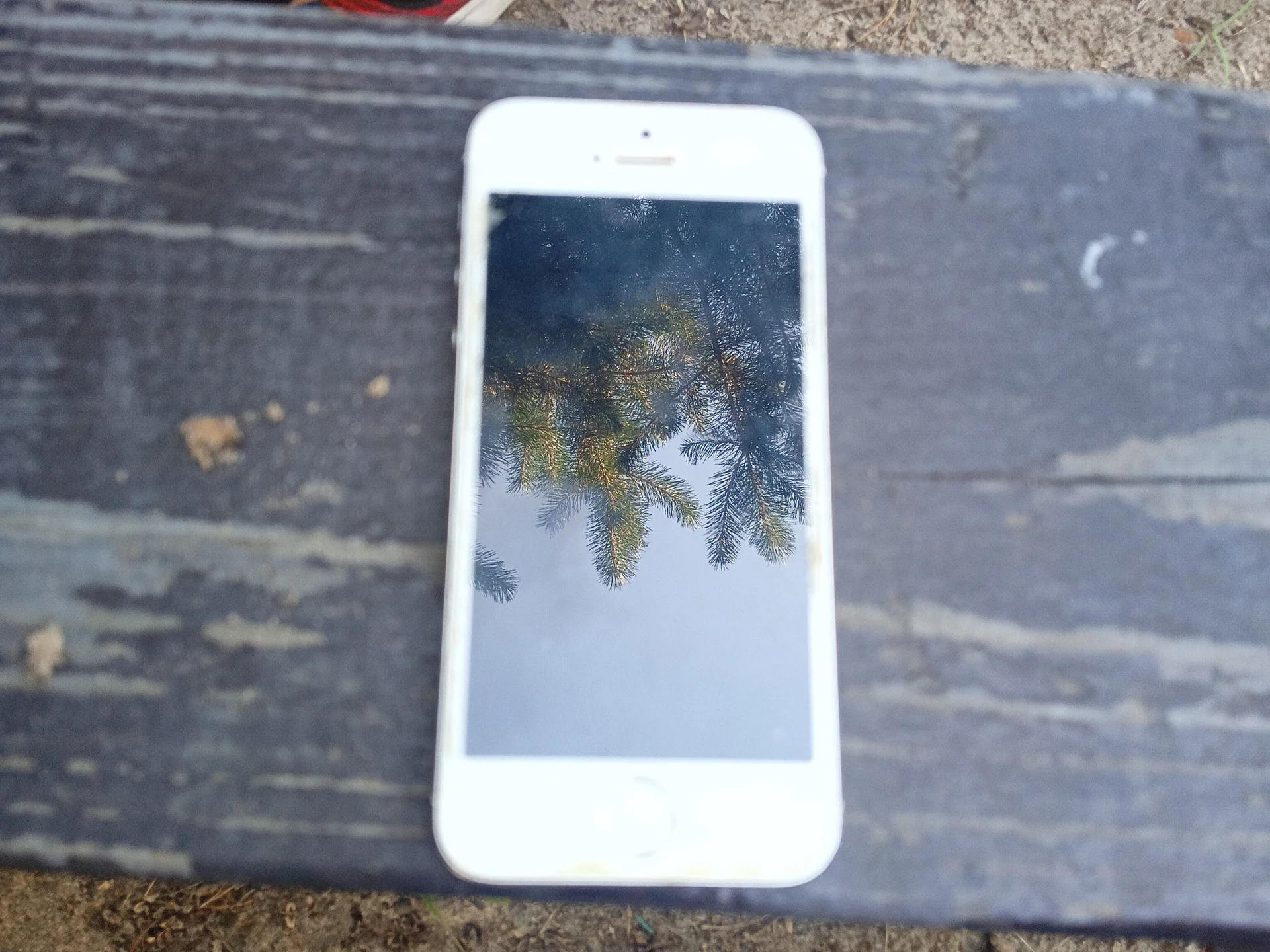 iPhone 5 se - миниатюра 2