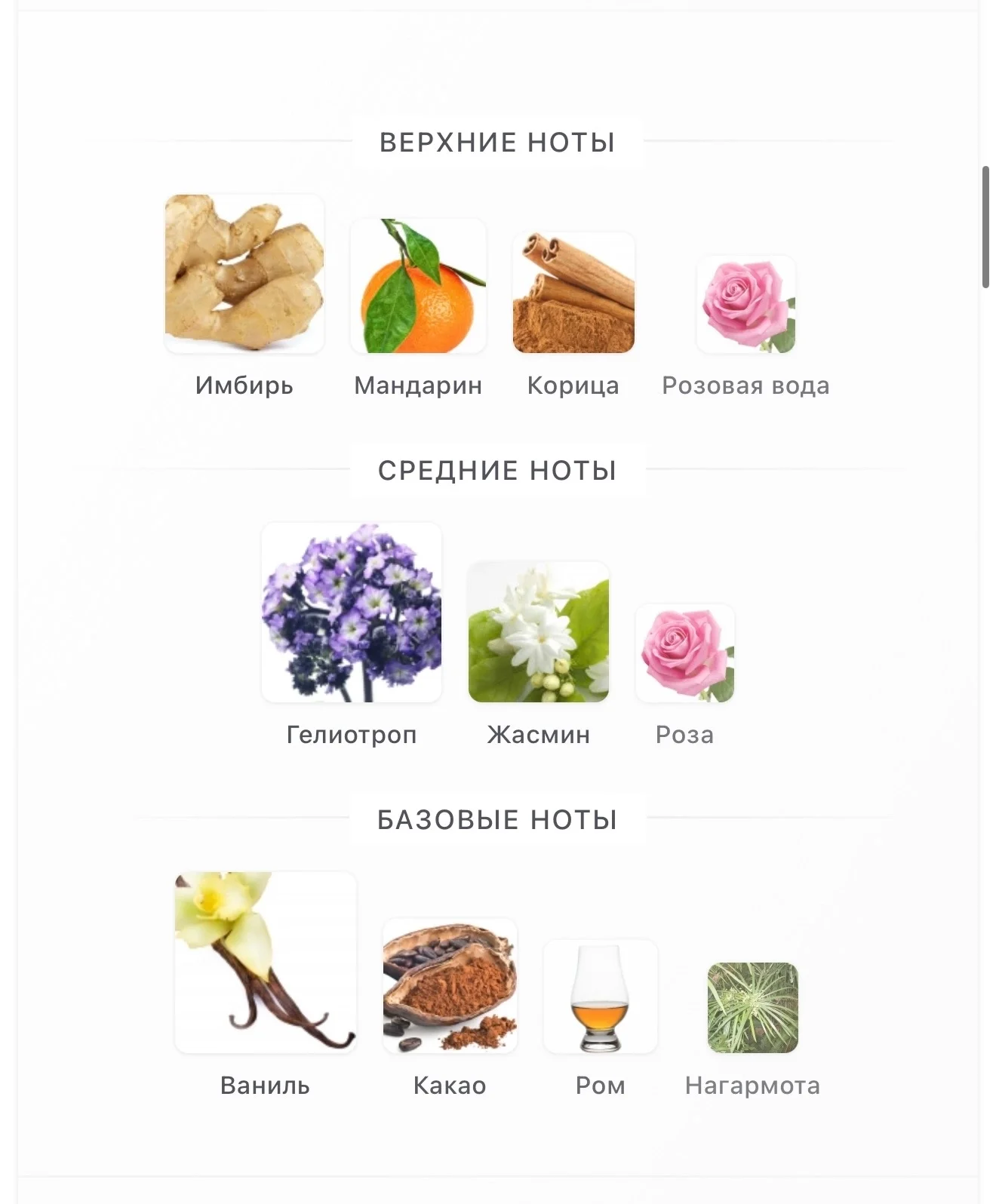 Amouage Love Delight - миниатюра 4