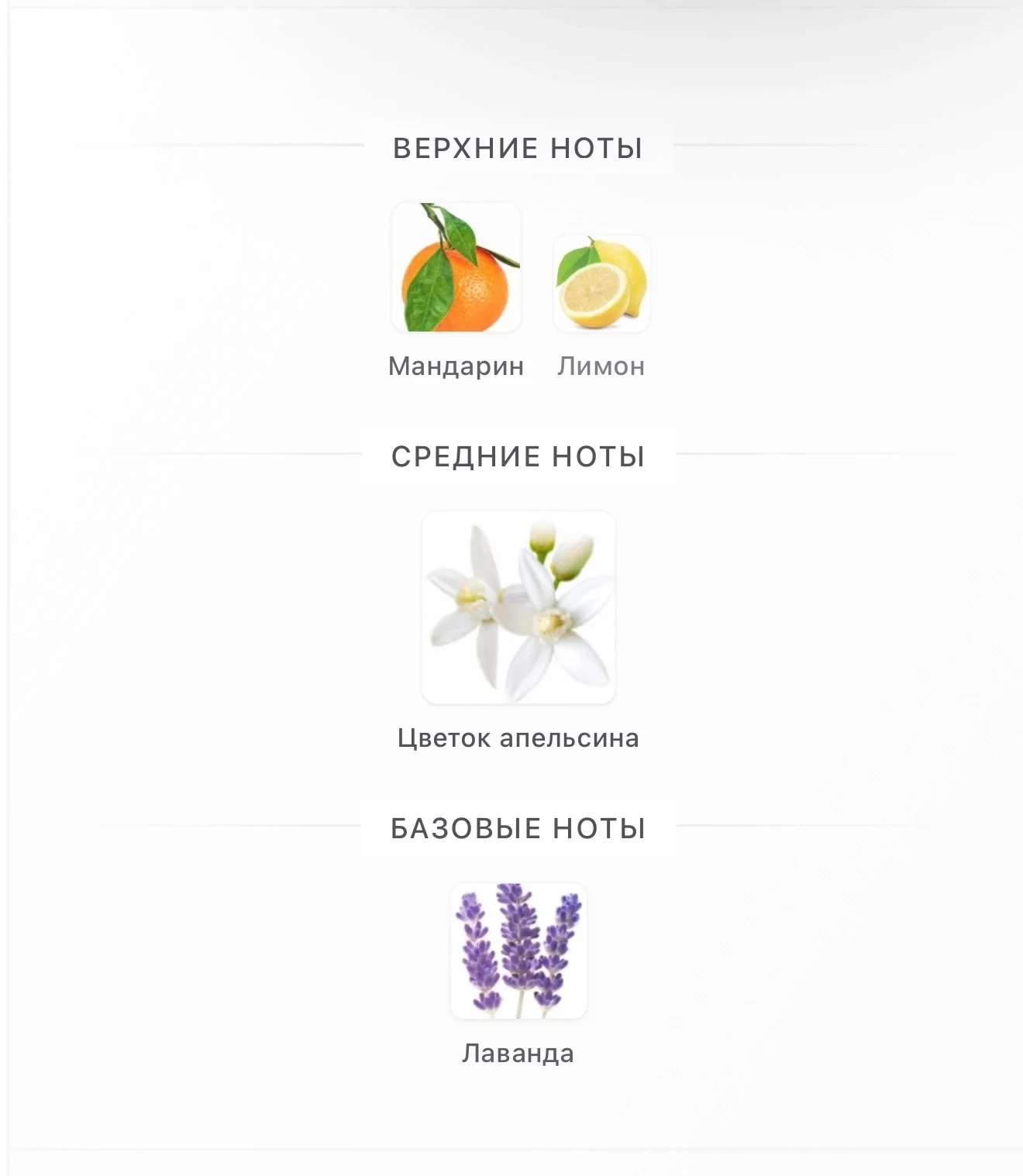 Libre L’eau Nue Yves Saint Laurent - миниатюра 4