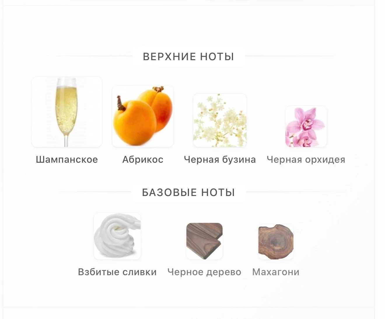 Pink Molecule 090.09 Zarkoperfume - миниатюра 4