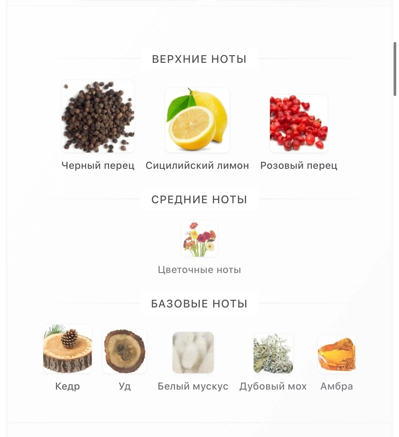 Intense Pepper Montale парфюм - миниатюра 3